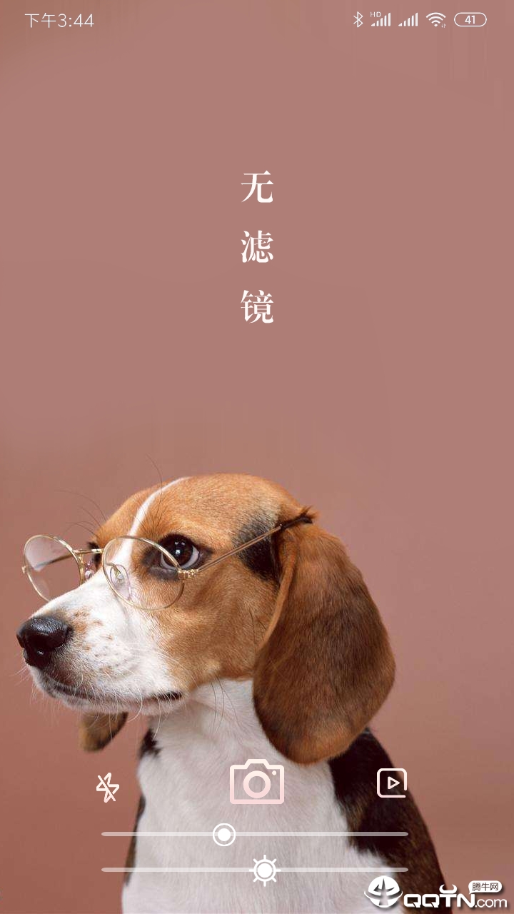 2025年好運的生肖,長沙消防“機器狗”正式上線