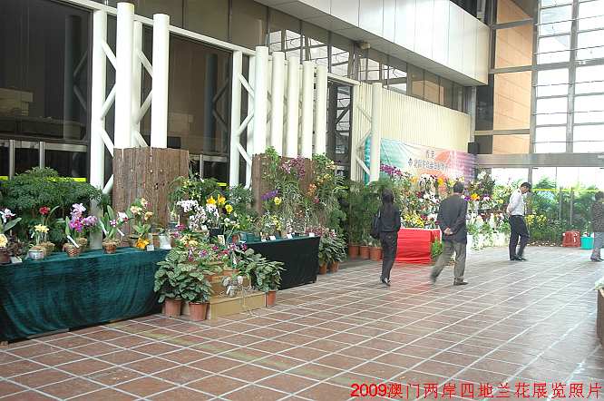 澳門免費(fèi)大全精準(zhǔn)版,堂兄弟5人共墻重建老宅花兩百萬(wàn)