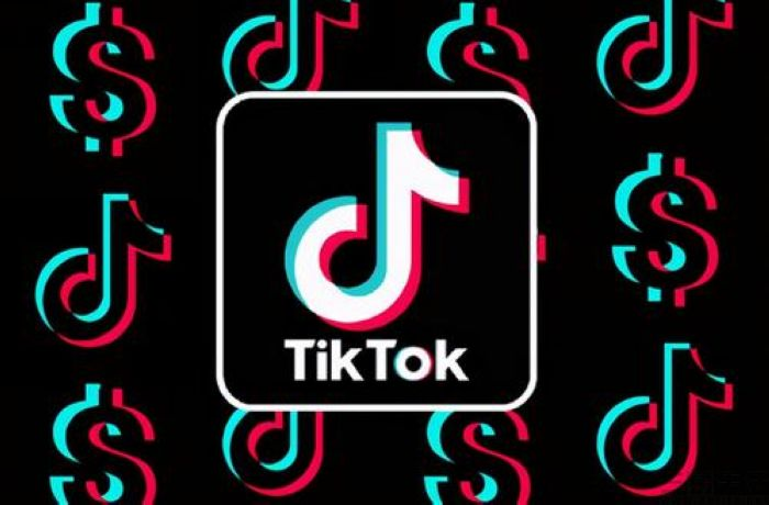 澳門新莆京合法嗎,特朗普考慮上任后暫停TikTok禁令