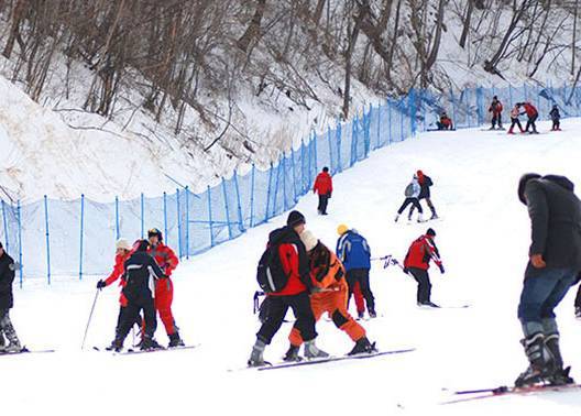 2025澳門天天彩資料免費,張家口云頂滑雪場一游客墜落